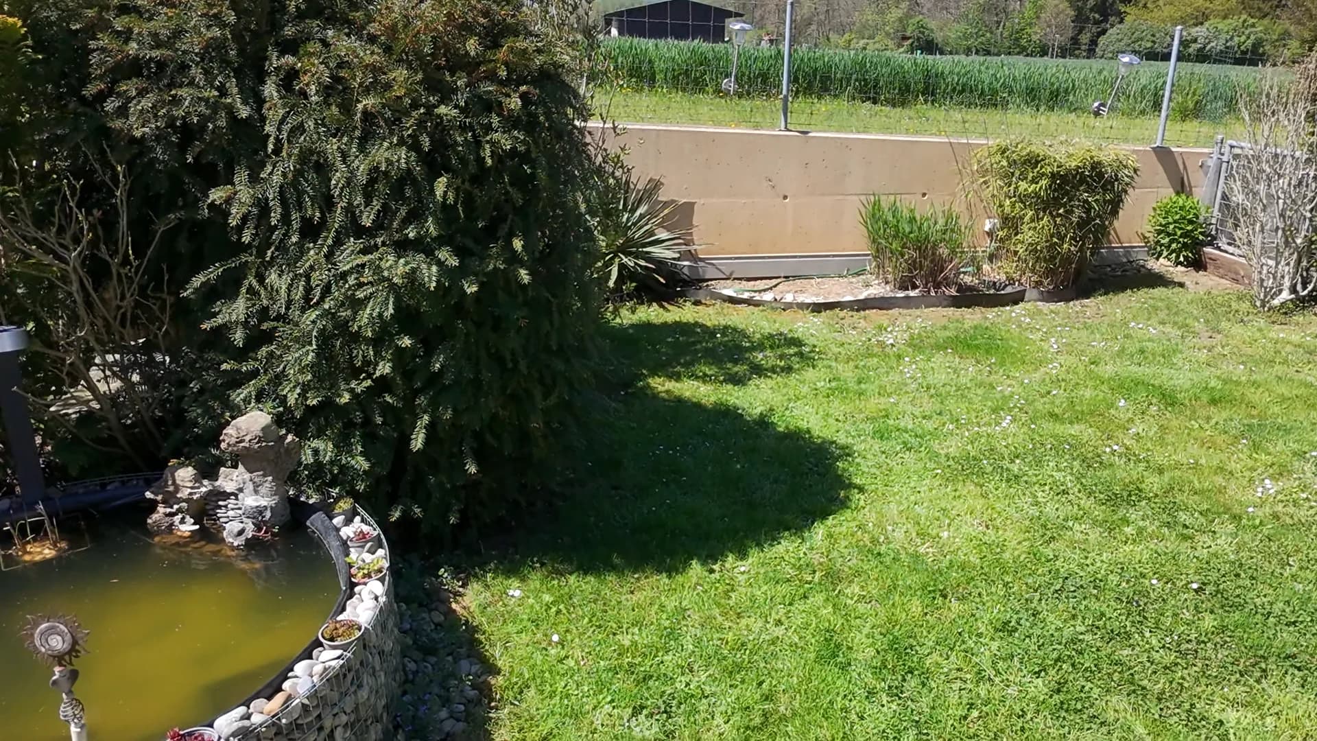 Garten und Teich · Filmstill